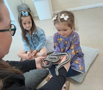 Read more about Over 100 people attend International Day of Families event